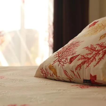 Brise Marine Pensionat 3*